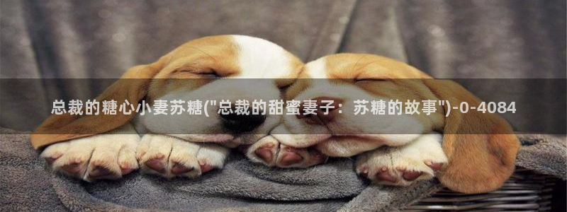 糖心velgo：总裁的糖心小妻苏糖(\
