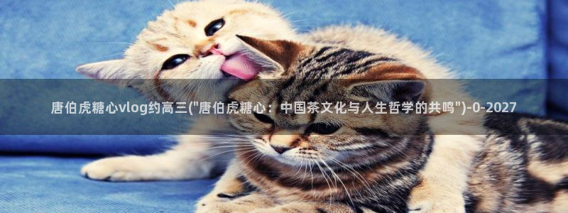 糖心是免费的吗：唐伯虎糖心vlog约高三(\