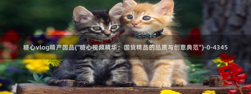 糖心最新版