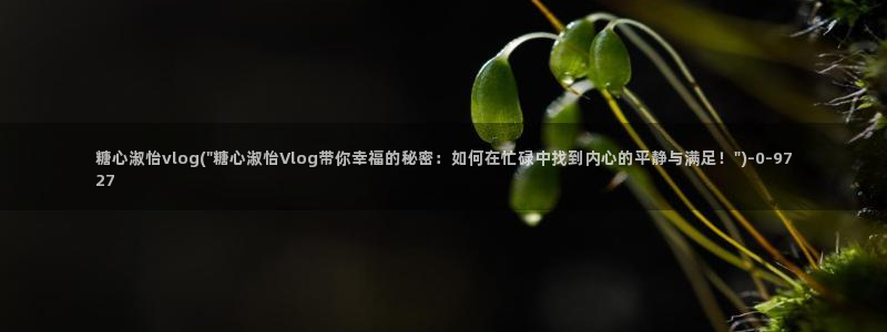 糖心vlol：糖心淑怡vlog(\