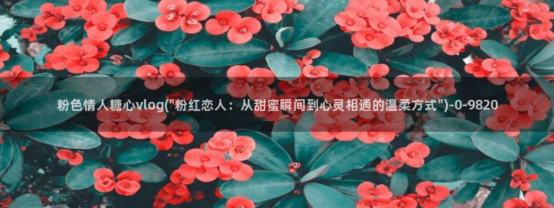 糖心vlgo爱液