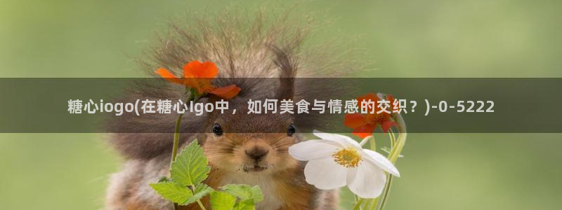 糖心.v