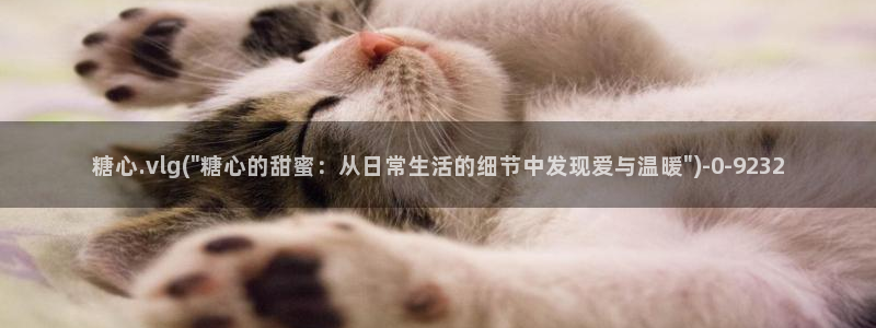 com.糖心
