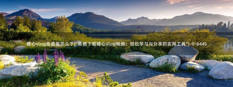 糖心vlgo猫宝宝